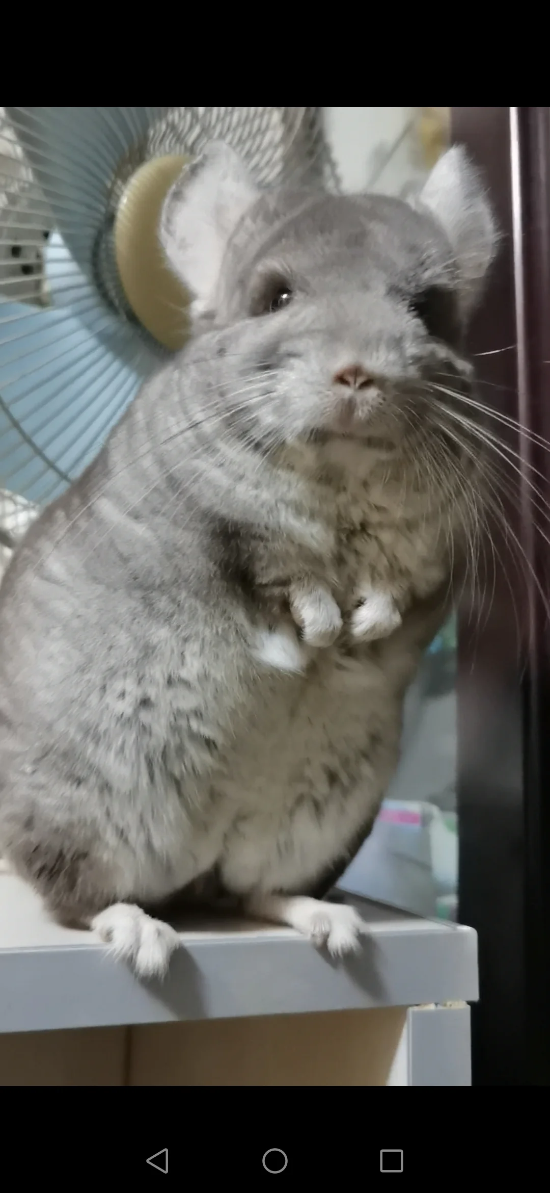 おすすめ
