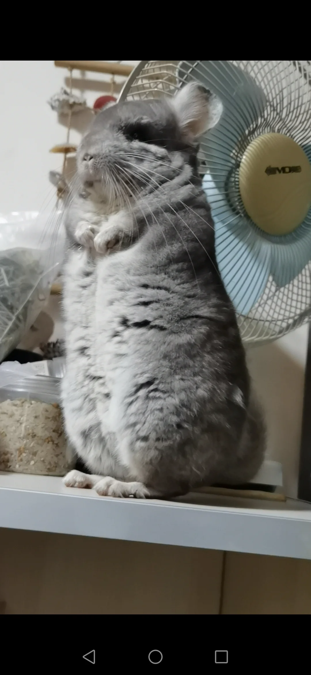おすすめ