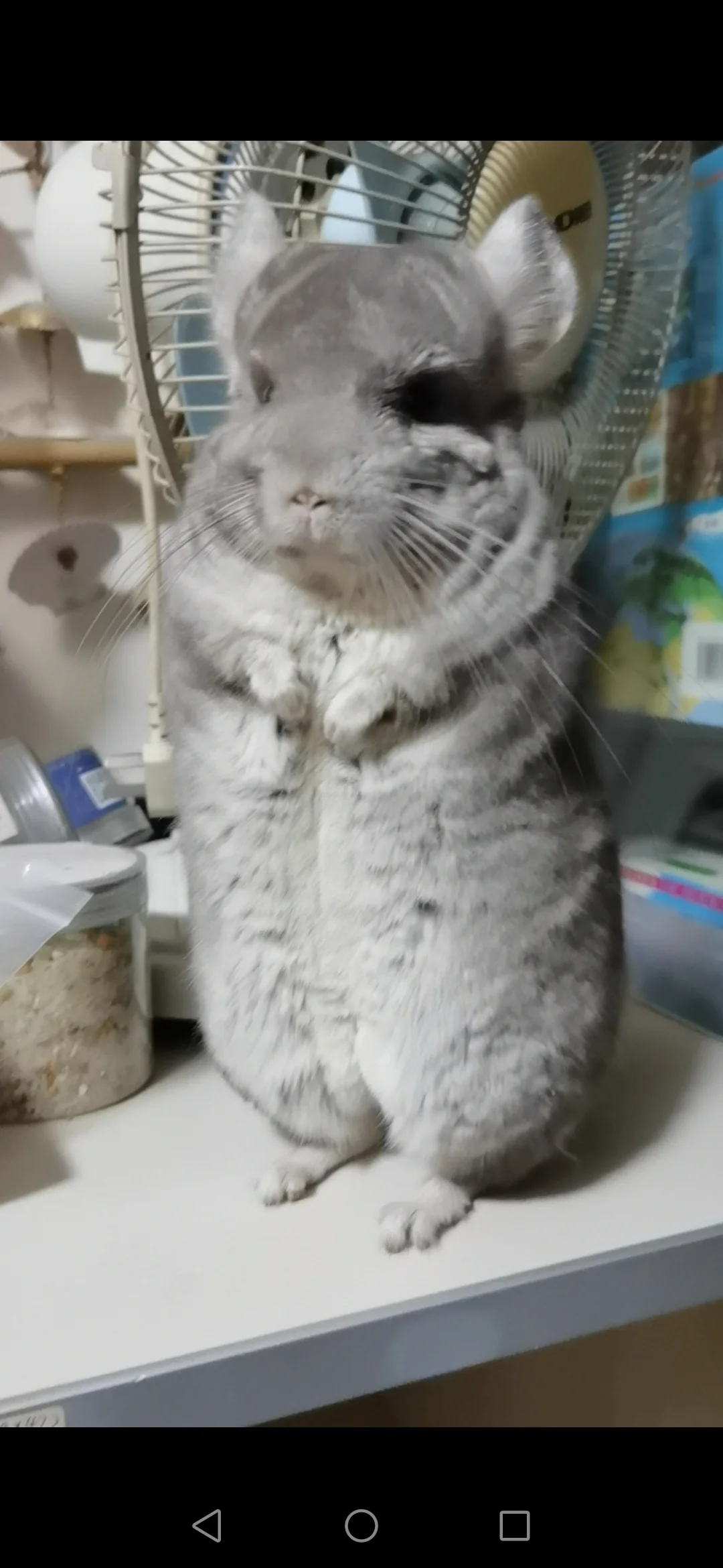 おすすめ