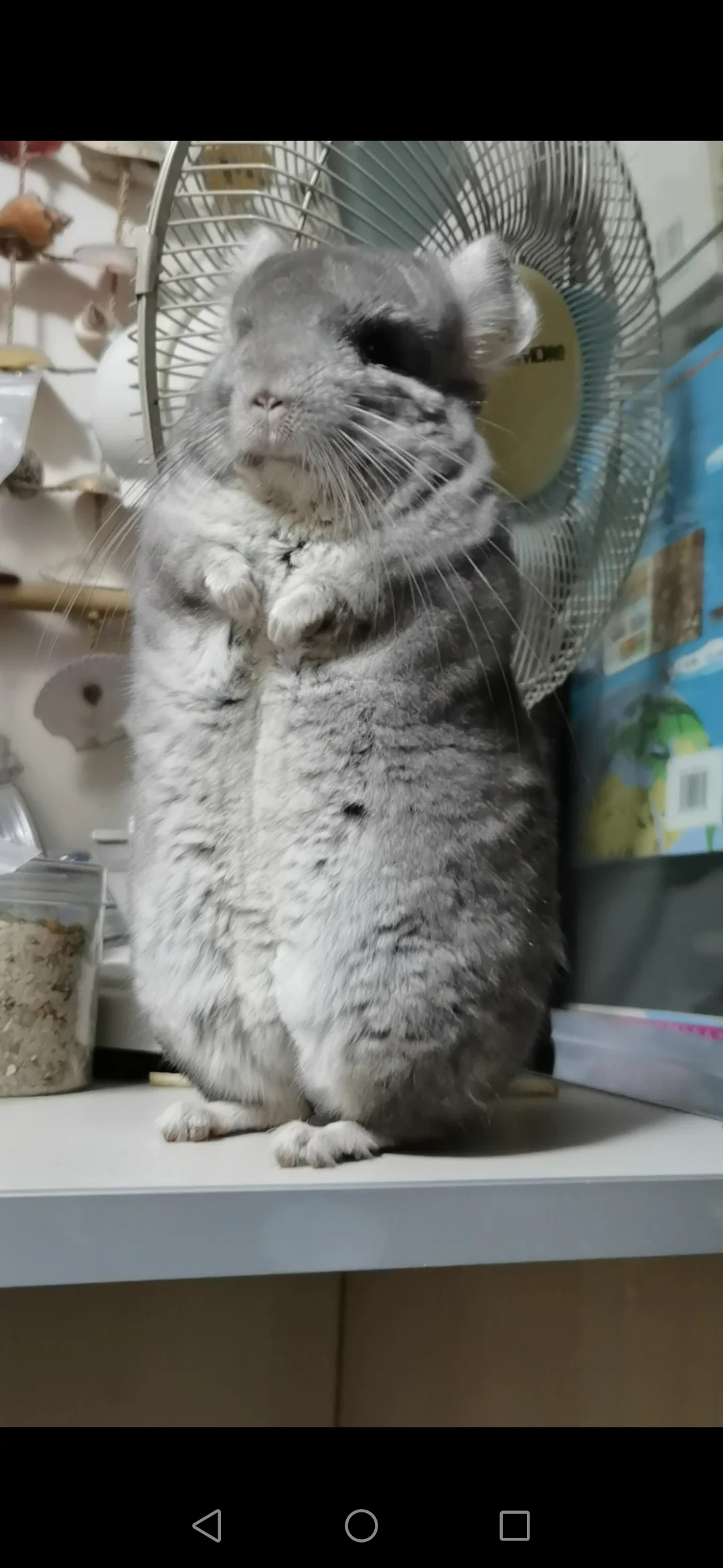 おすすめ