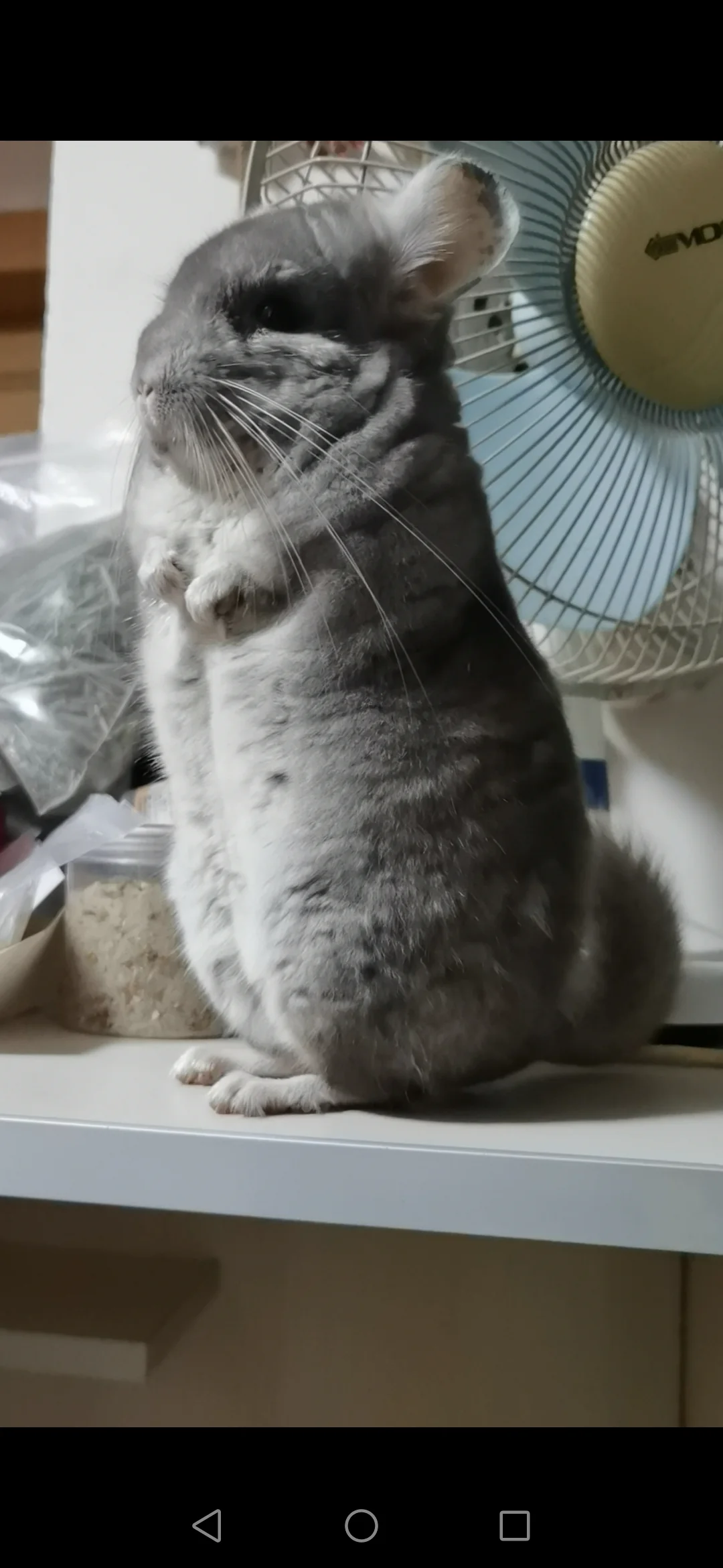 おすすめ