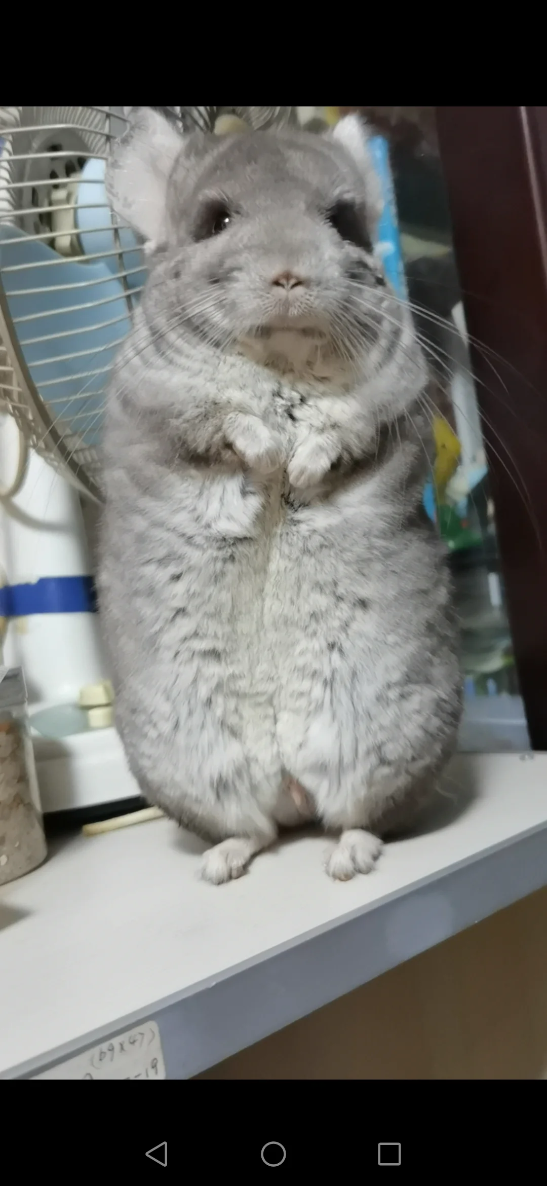 おすすめ