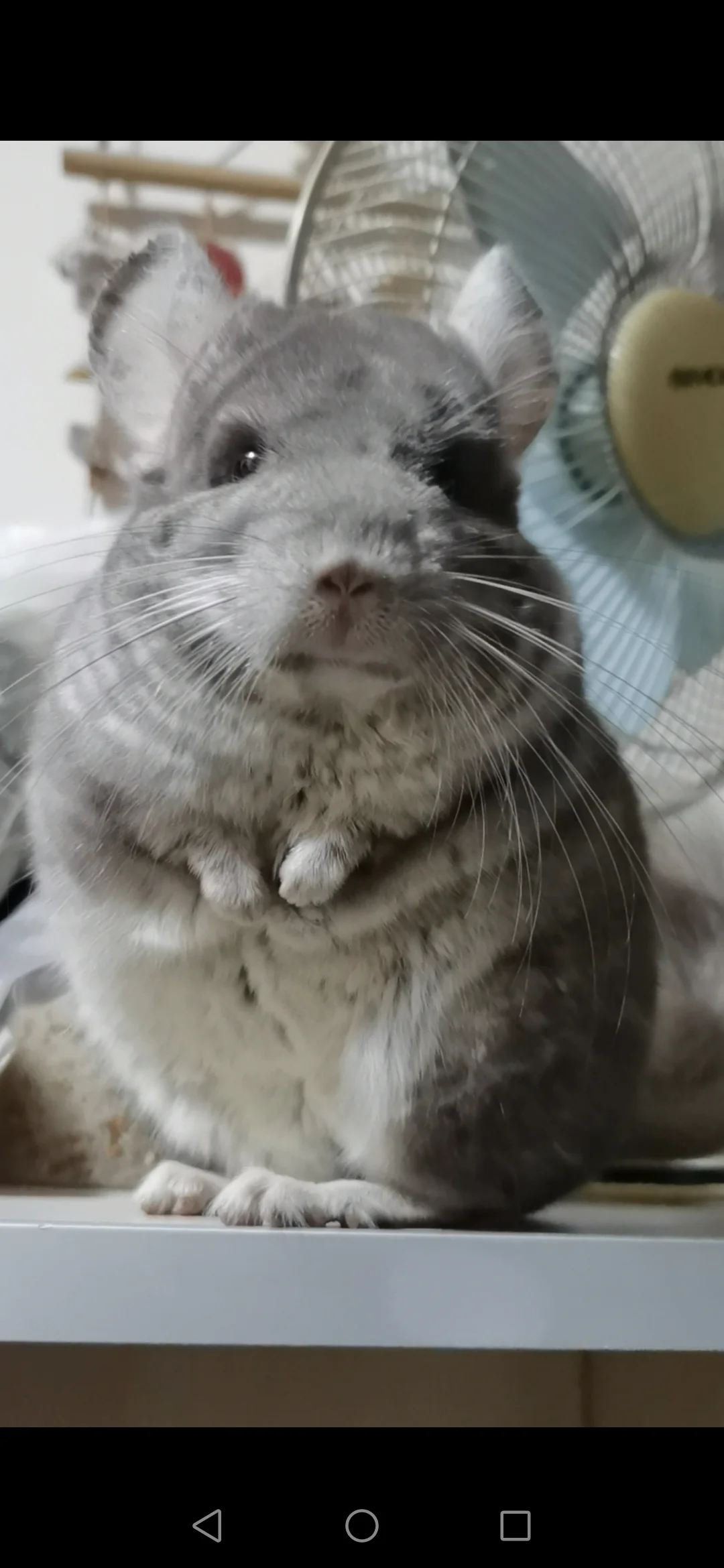 おすすめ
