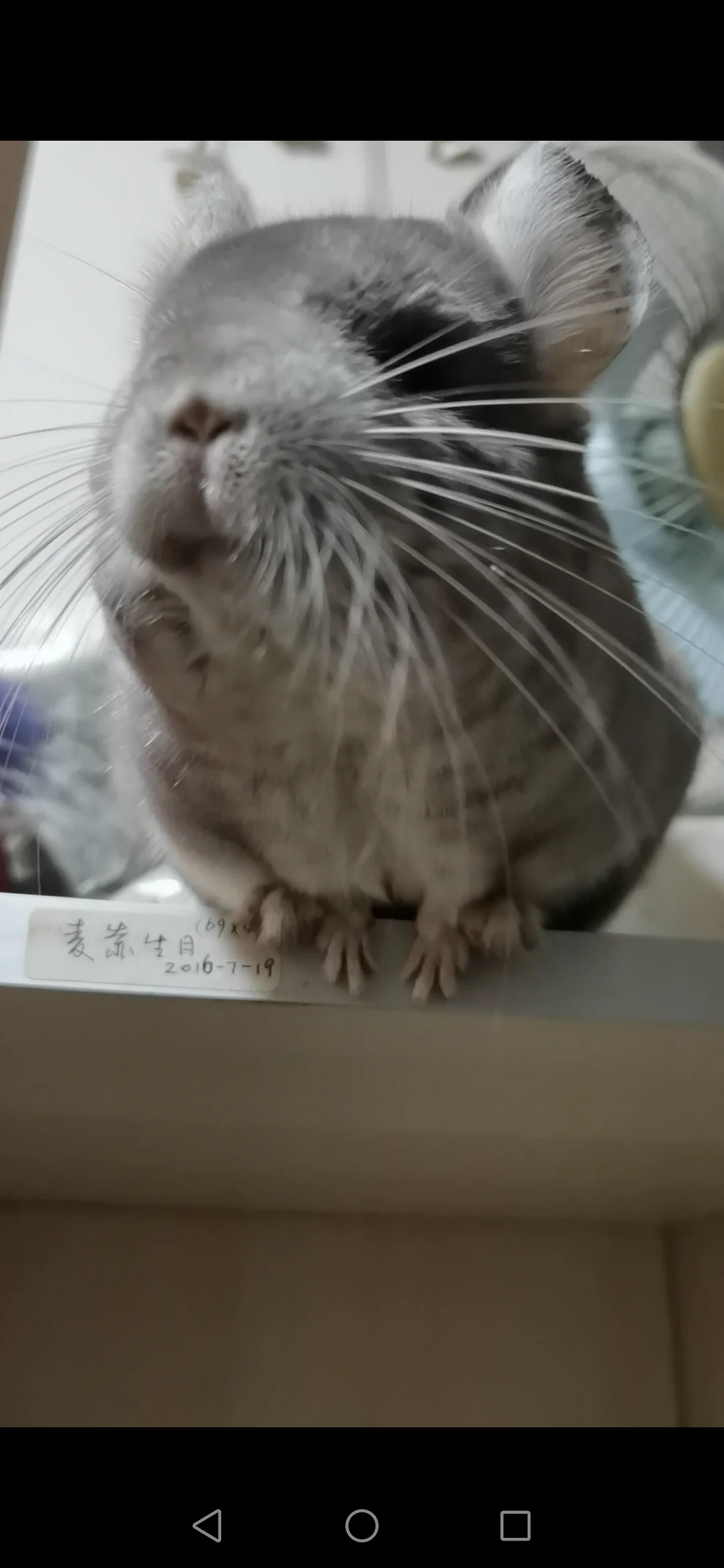 おすすめ