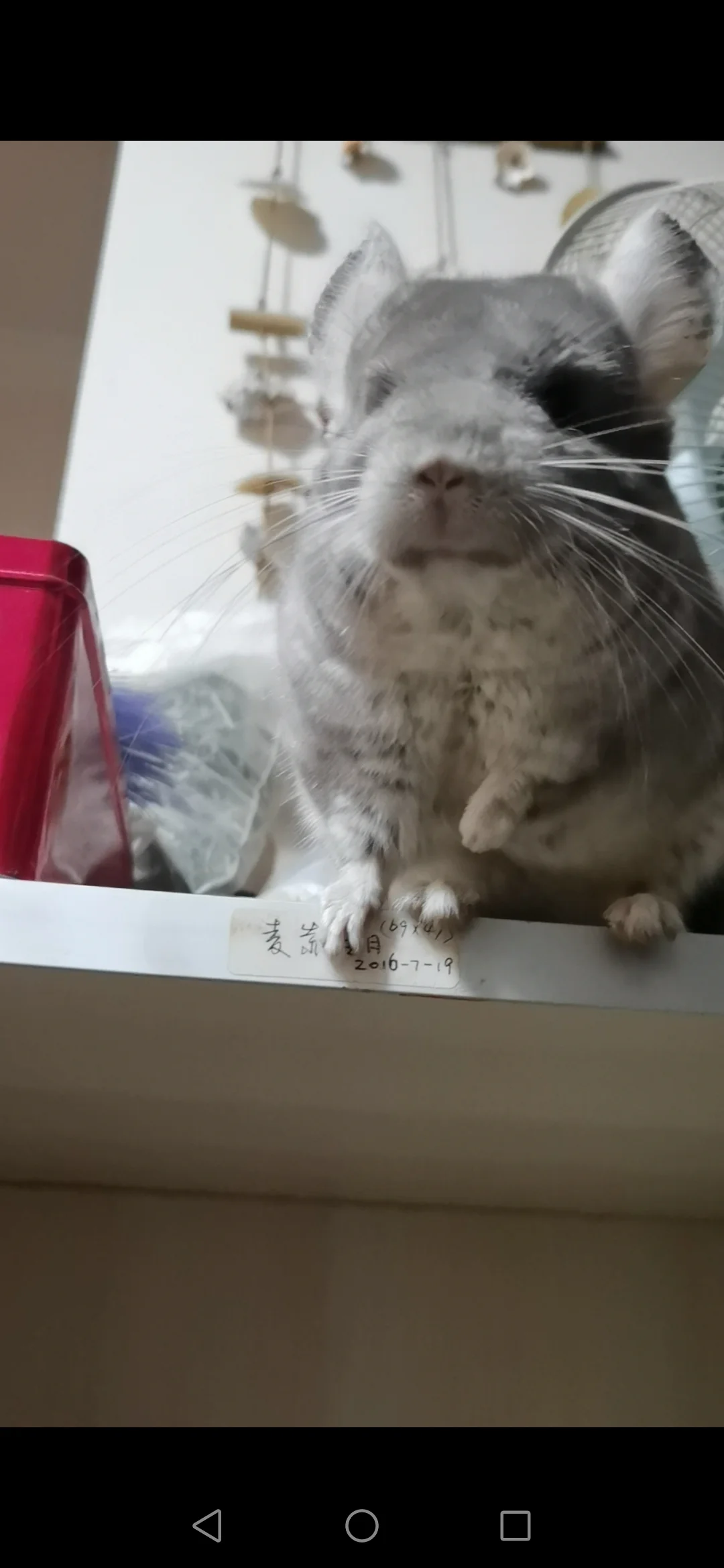 おすすめ