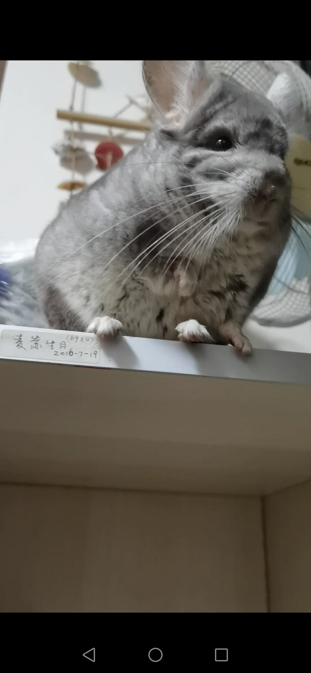 おすすめ