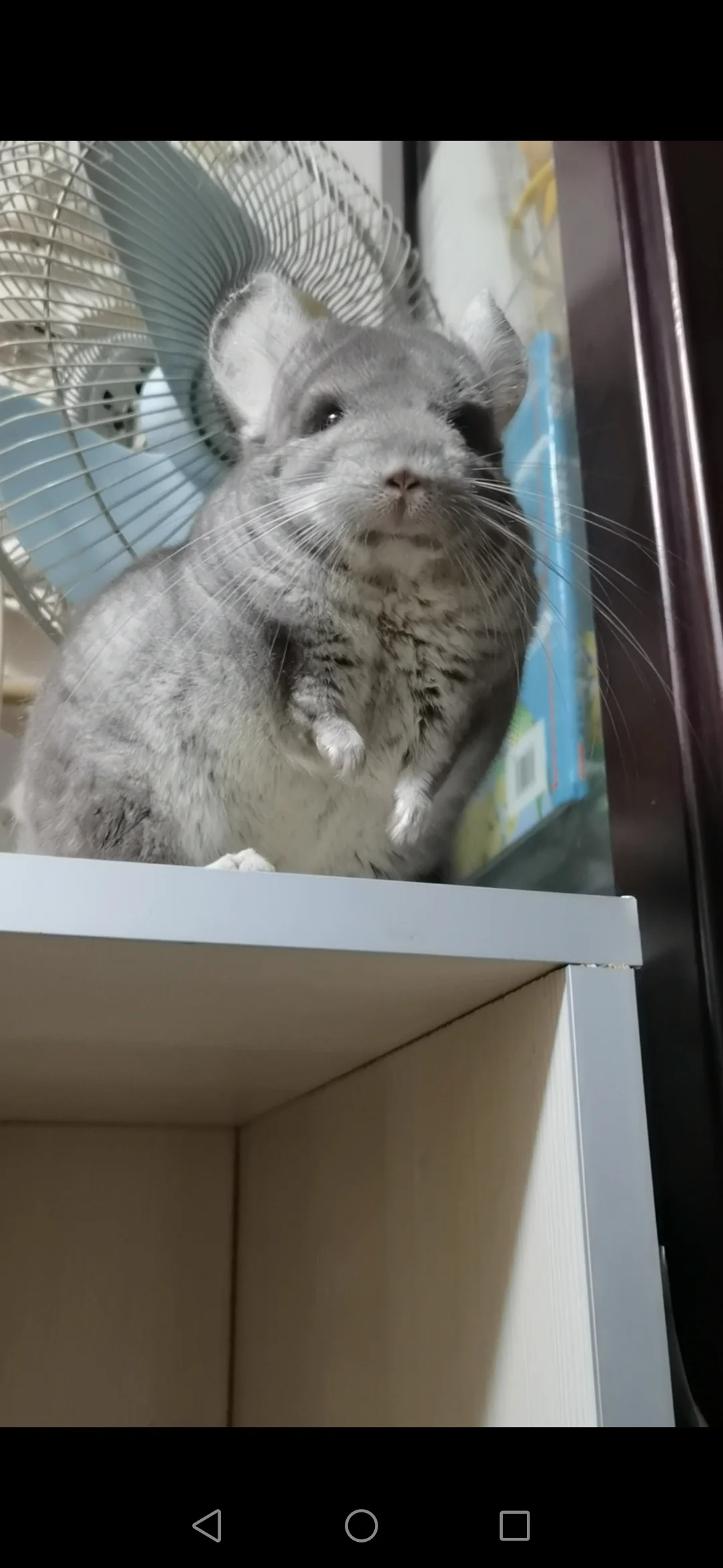 おすすめ