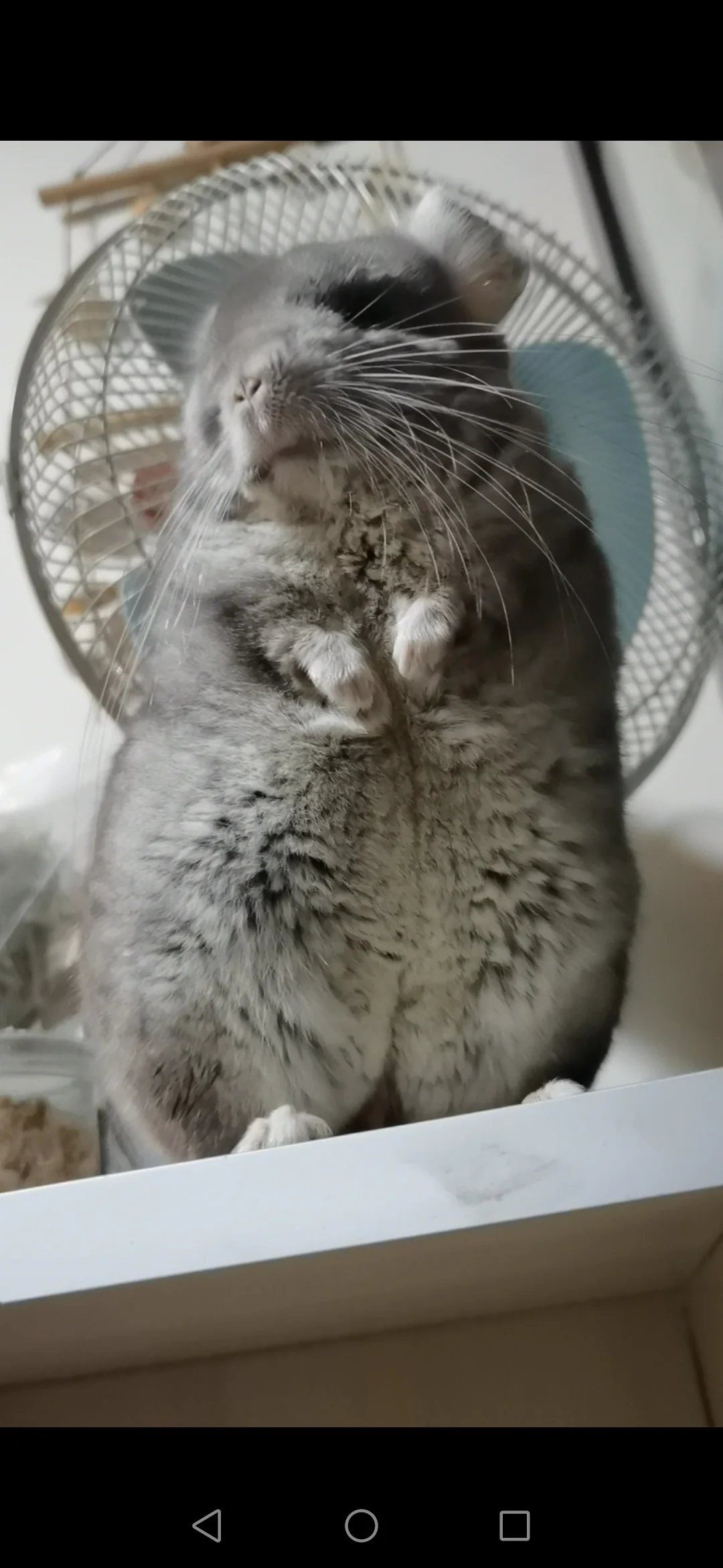 おすすめ