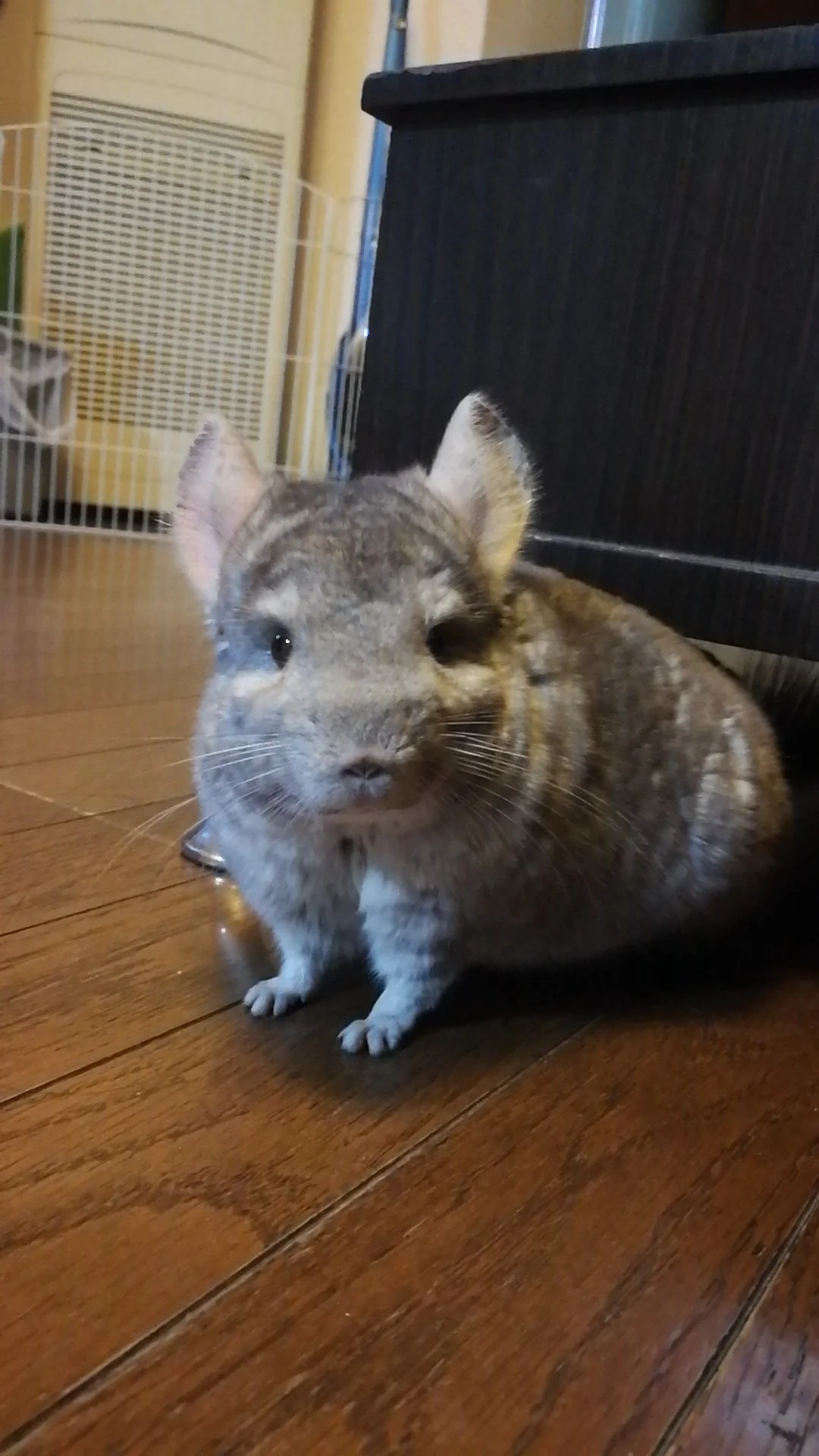 おすすめ