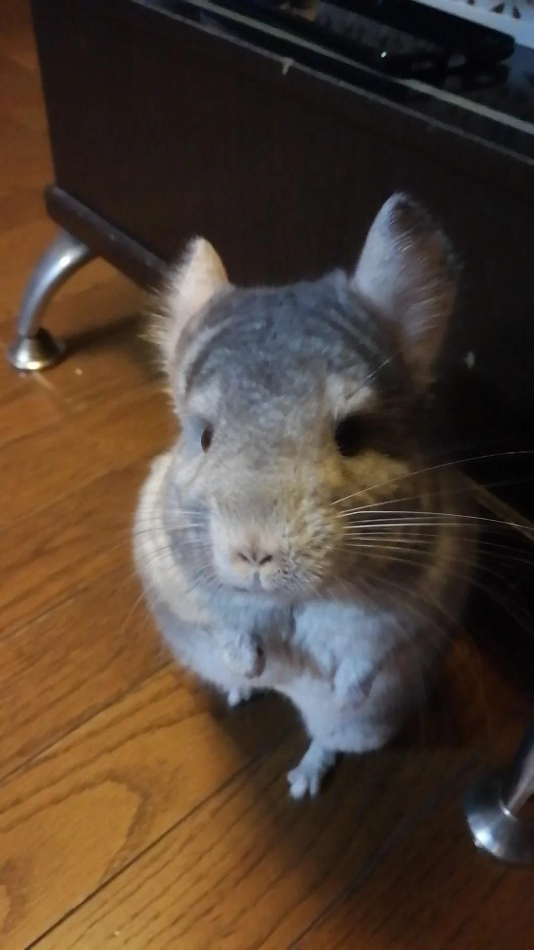 おすすめ
