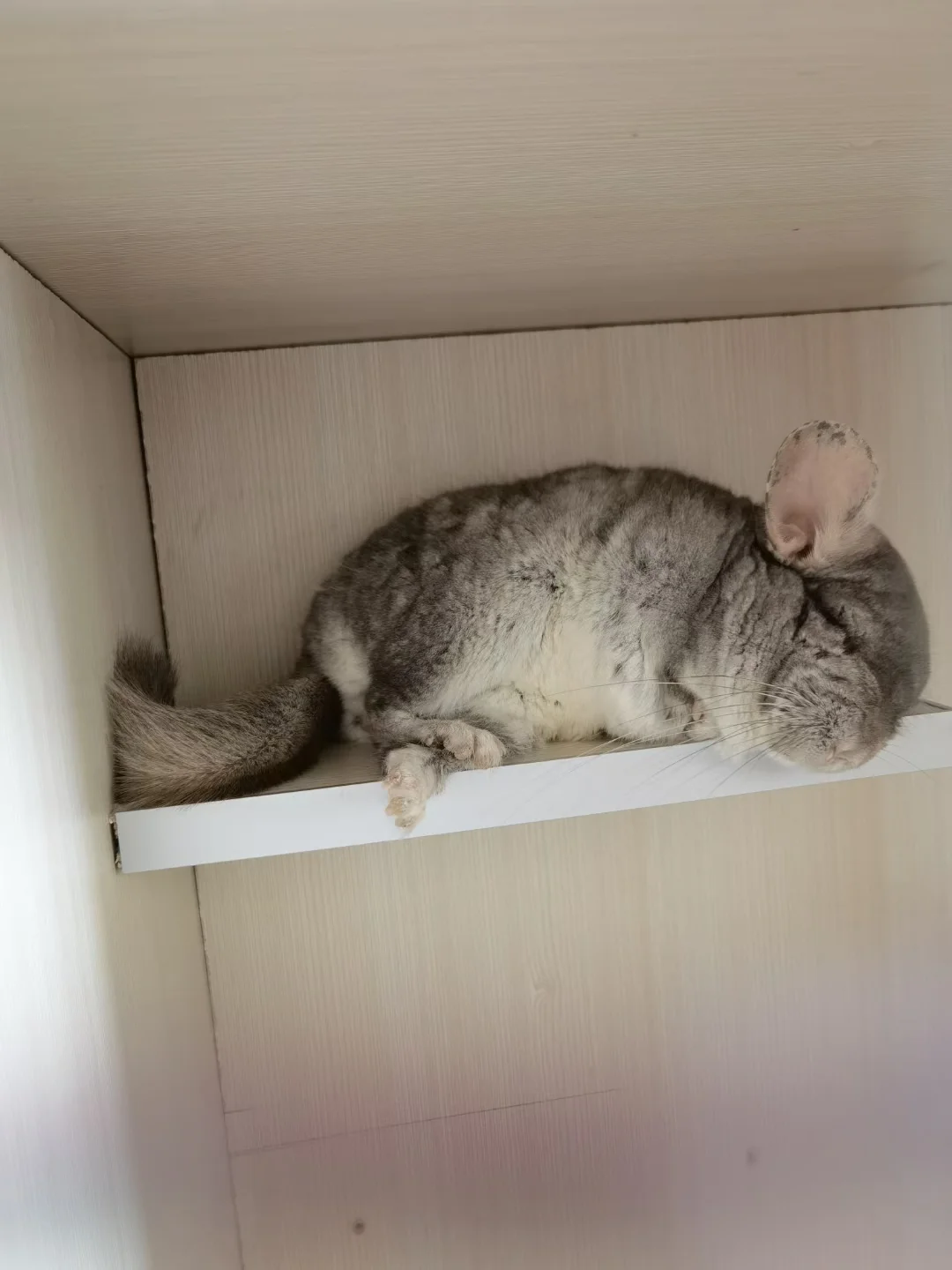 おすすめ
