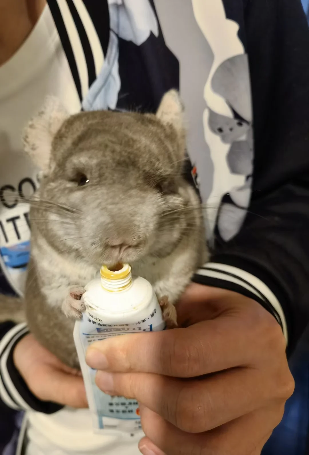 おすすめ