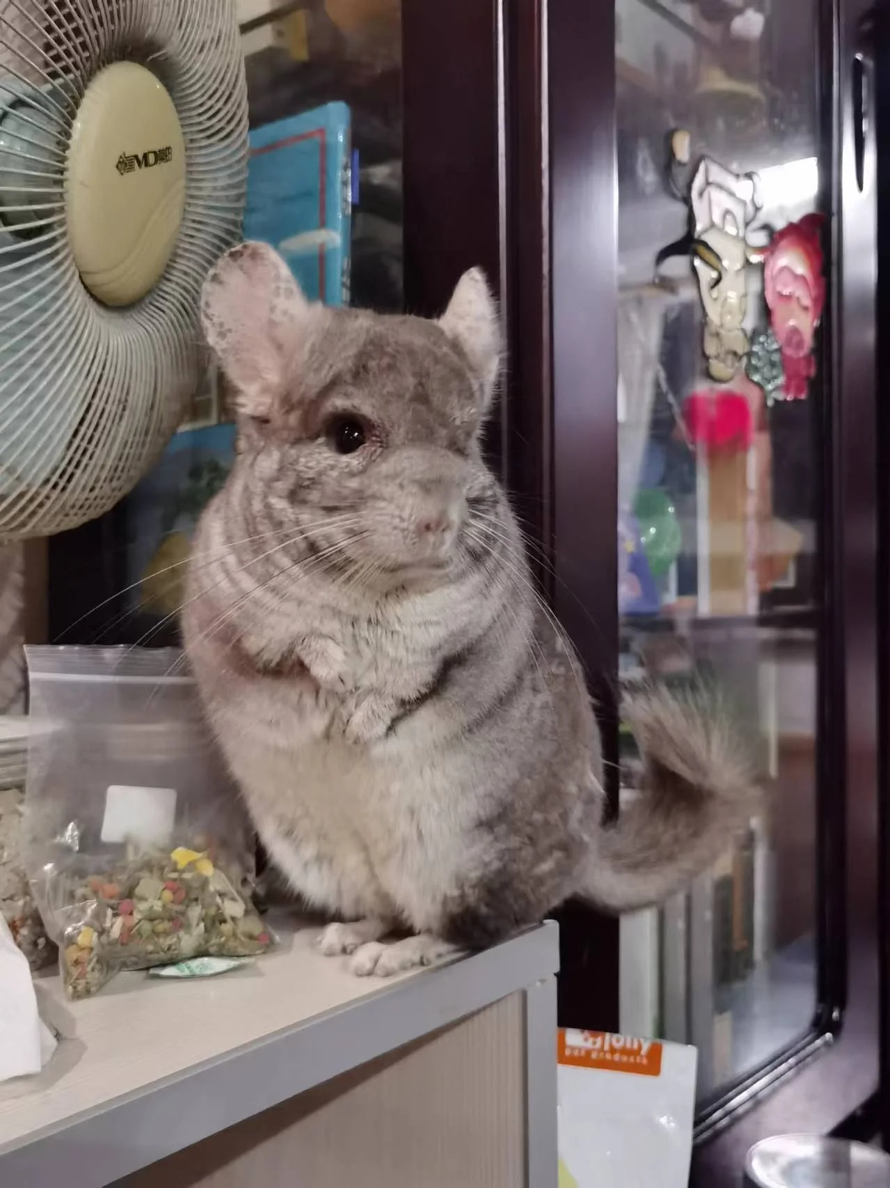 おすすめ