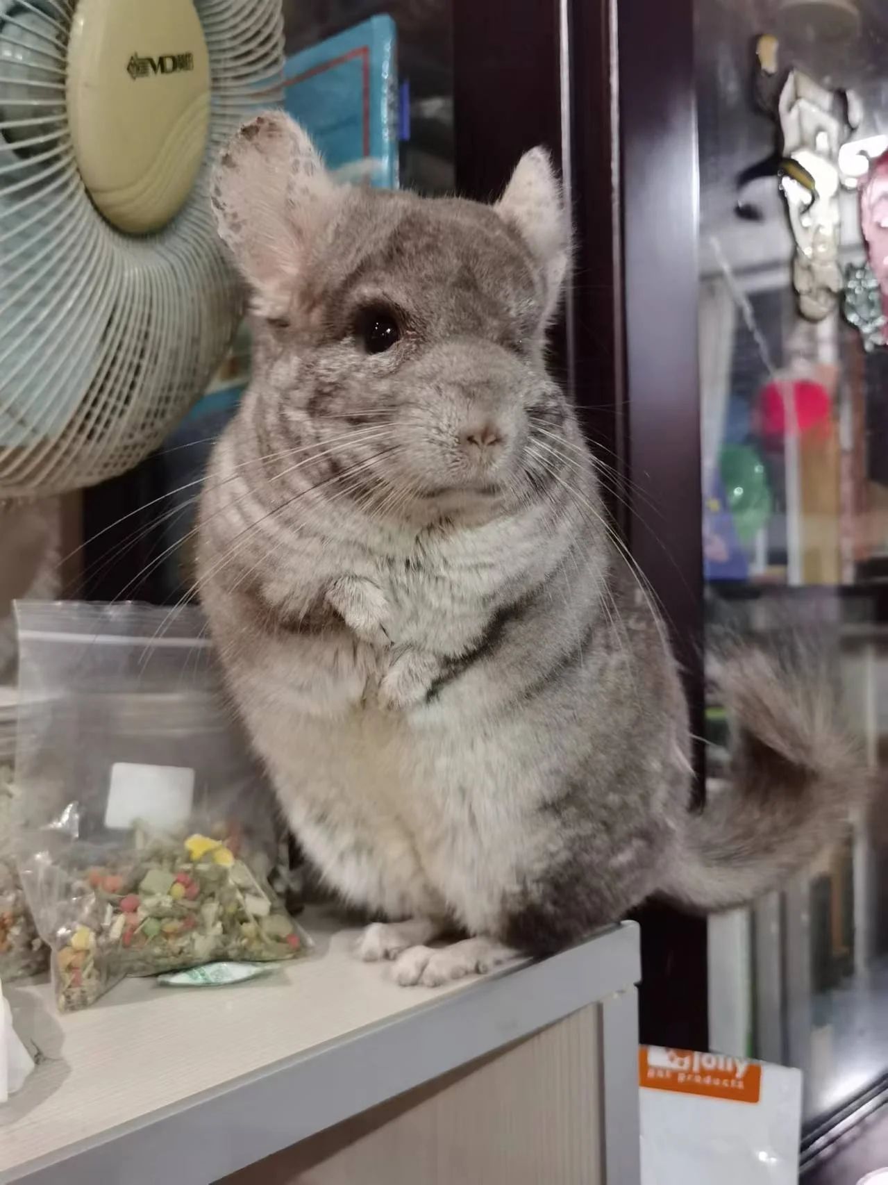 おすすめ