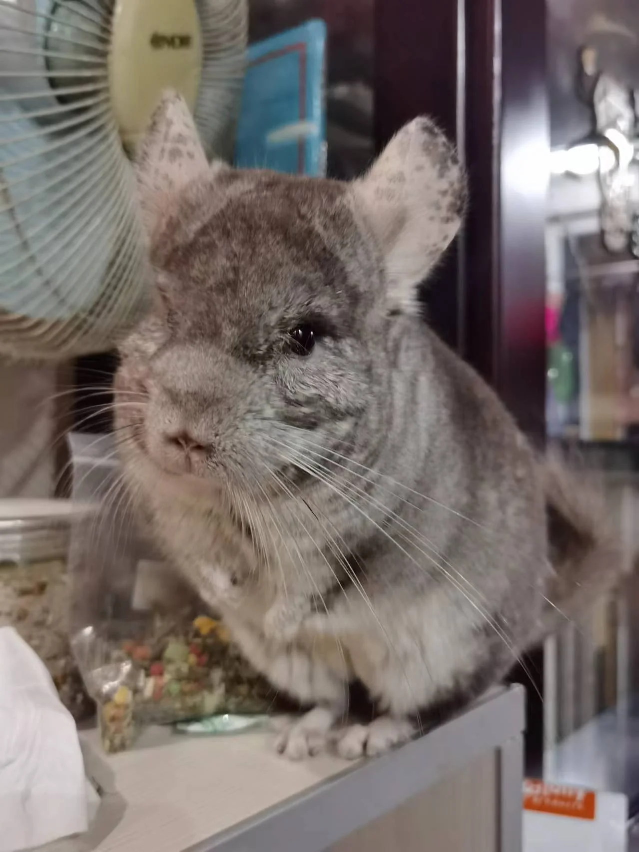 おすすめ