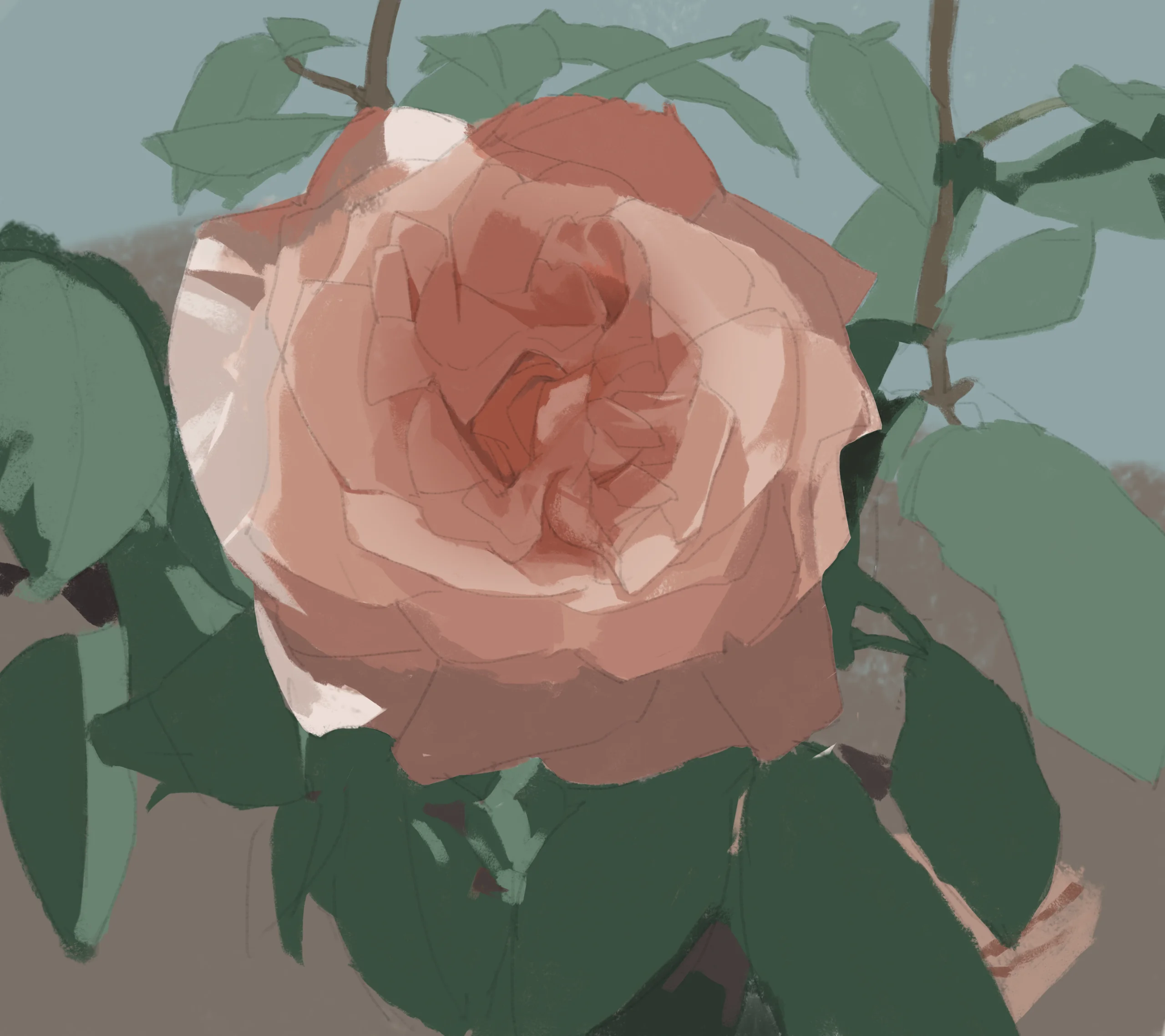 1_Illustration